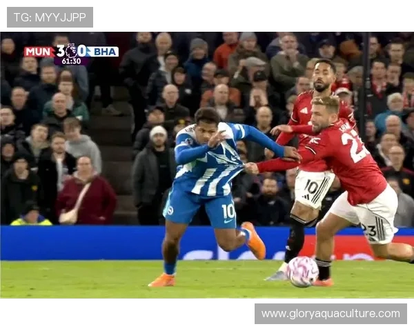 原创曼联官宣三人继续伤缺，阿莫林透露库尼亚复出日期！遇一周双赛新挑战